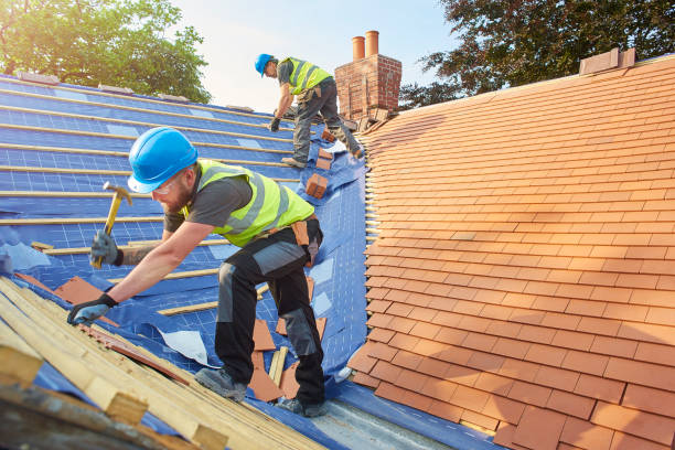 Best Chimney Flashing Repair  in Ridgeway, VA